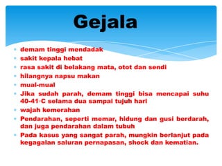 Gejala
demam tinggi mendadak
sakit kepala hebat
rasa sakit di belakang mata, otot dan sendi
hilangnya napsu makan
mual-mual
Jika sudah parah, demam tinggi bisa mencapai suhu
40-41◦C selama dua sampai tujuh hari
wajah kemerahan
Pendarahan, seperti memar, hidung dan gusi berdarah,
dan juga pendarahan dalam tubuh
Pada kasus yang sangat parah, mungkin berlanjut pada
kegagalan saluran pernapasan, shock dan kematian.
 