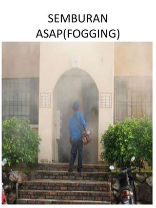 SEMBURAN
ASAP(FOGGING)
 