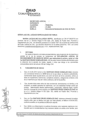 DEMANDA DE DECLARACIOIN DE UNION DE HECHO - MARINA GALLARDAY.pdf