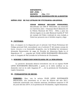 EXPEDIENTE :
ESP. JUZG. :
ESCRITO : Nro. UNO
DEMANDA DE EXONERACIÓN DE ALIMENTOS.
SEÑOR JUEZ DE PAZ LETRADO DE UTCUBAMBA-AMAZONAS.
CESAR HERNAN DELGADO FERNANDEZ,
Identificado con DNI N° 46023589, con domicilio
en Carretera Jaén – Chamaya Km15 (Estación de
la Policía Nacional del Perú - 503); y para los
efectos legales en la calle Mariscal Castilla N° 924
(al costado del Poder Judicial) de esta ciudad, a
Usted me presento con el debido respeto y digo:
II.- PETITORIO.
Que, al amparo en lo dispuesto por el artículo I del Título Preliminar del
Código procesal Civil, concordante con el artículo 2º del mismo cuerpo de
leyes, recurro a su honorable despacho, con la finalidad de interponer
demanda Exoneración de pago de Pensión de Alimentos fijada en el
Expediente N° …., seguida por FLOR LEYDI BUSTAMANTE REGALADO,
ante el Juzgado de Paz Letrado de la Provincia de Utcubamba.
I.- NOMBRE Y DIRECCION DOMICILIARIA DE LA DEMANDADA.
La presente demanda deberá entenderse con mi ex esposa FLOR
LEYDI BUSTAMANTE REGALADO, a quien se le debe notificar en su
domicilio real en la calle Angamos N° …, de la provincia de Utcubamba,
región Amazonas.
III.- FUNDAMENTOS DE HECHO.
PRIMERO.- Que, con la señora FLOR LEYDI BUSTAMANTE
REGALADO, nos conocimos en el mes de febrero del año 2011,
habiendo mantenido una relación amorosa, decidimos casarnos el 26
de junio del año 2014, en la provincia de Utcubamba, región Amazonas.
 