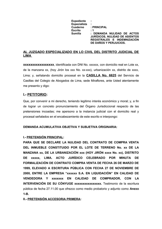 Ejemplo De Demanda De Nulidad