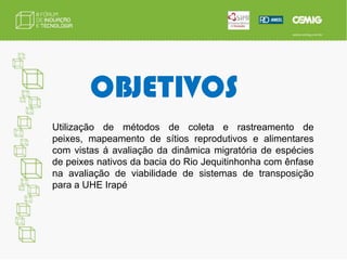 OBJETIVOSUtilização de métodos de coleta e rastreamento de peixes, mapeamento de sítios reprodutivos e alimentares com vistas á avaliação da dinâmica migratória de espécies de peixes nativos da bacia do Rio Jequitinhonha com ênfase na avaliação de viabilidade de sistemas de transposição para a UHE Irapé