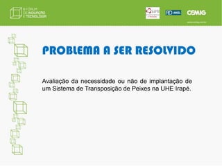 PROBLEMA A SER RESOLVIDOAvaliação da necessidade ou não de implantação de um Sistema de Transposição de Peixes na UHE Irapé.