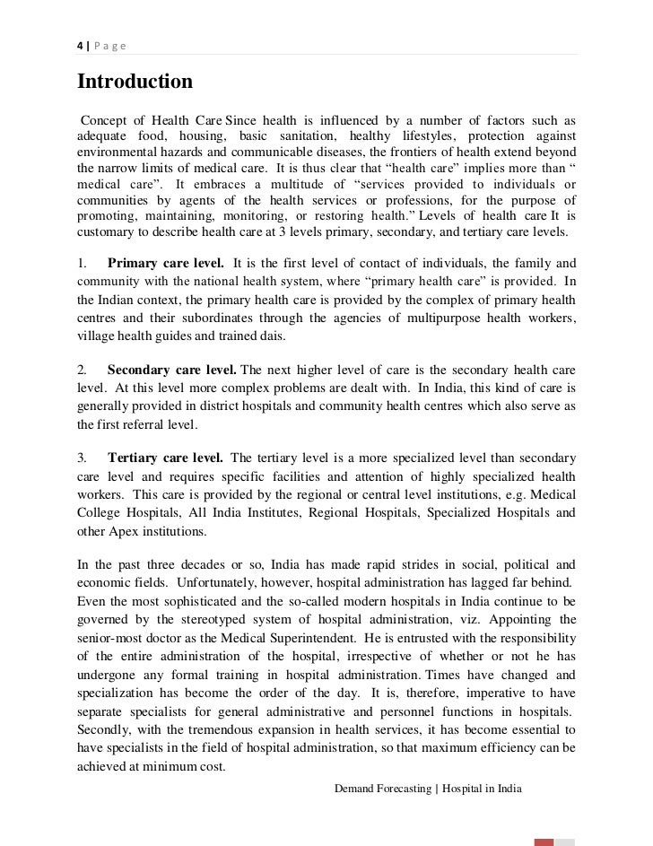 Write a essay in hindi