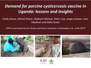 Demand for porcine cysticercosis vaccine in
Uganda: lessons and insights
Emily Ouma, Michel Dione, Nadhem Mtimet, Peter Lule, Angie Colston, Sam
Adediran and Delia Grace
IFPRI’s Food Industries for People and Planet workshop in Washington, DC, June 2017
 