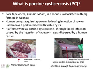 Demand for porcine cysticercosis vaccine in Uganda: Lessons and insights