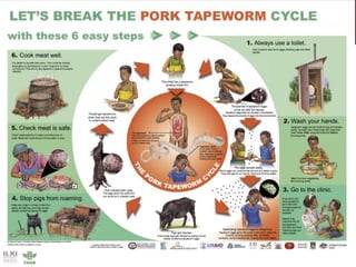 Demand for porcine cysticercosis vaccine in Uganda: Lessons and insights