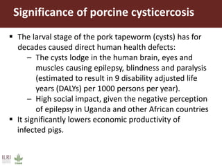 Demand for porcine cysticercosis vaccine in Uganda: Lessons and insights