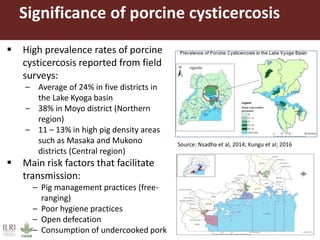 Demand for porcine cysticercosis vaccine in Uganda: Lessons and insights