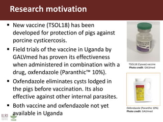Demand for porcine cysticercosis vaccine in Uganda: Lessons and insights