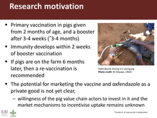 Demand for porcine cysticercosis vaccine in Uganda: Lessons and insights