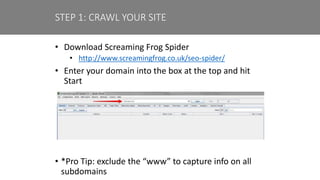 • Download Screaming Frog Spider
• http://www.screamingfrog.co.uk/seo-spider/
• Enter your domain into the box at the top and hit
Start
• *Pro Tip: exclude the “www” to capture info on all
subdomains
STEP 1: CRAWL YOUR SITE
 