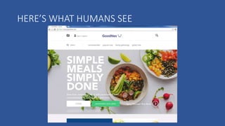 HERE’S WHAT HUMANS SEE
 