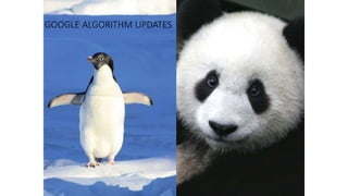 GOOGLE ALGORITHM UPDATES
 