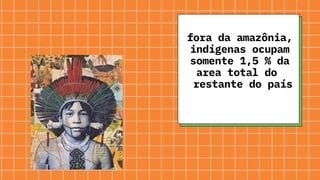 fora da amazônia,
indígenas ocupam
somente 1,5 % da
area total do
restante do país
 