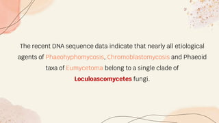 The recent DNA sequence data indicate that nearly all etiological
agents of Phaeohyphomycosis, Chromoblastomycosis and Phaeoid
taxa of Eumycetoma belong to a single clade of
Loculoascomycetes fungi.
 
