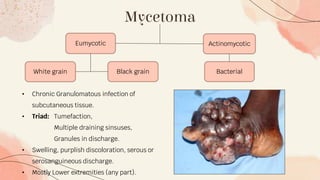 Mycetoma
Eumycotic
Bacterial
Black grain
White grain
Actinomycotic
• Chronic Granulomatous infection of
subcutaneous tissue.
• Triad: Tumefaction,
Multiple draining sinsuses,
Granules in discharge.
• Swelling, purplish discoloration, serous or
serosanguineous discharge.
• Mostly Lower extremities (any part).
 