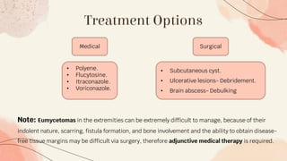Treatment Options
Medical Surgical
• Polyene.
• Flucytosine.
• Itraconazole.
• Voriconazole.
• Subcutaneous cyst.
• Ulcerative lesions- Debridement.
• Brain abscess- Debulking
Note: Eumycetomas in the extremities can be extremely difficult to manage, because of their
indolent nature, scarring, fistula formation, and bone involvement and the ability to obtain disease-
free tissue margins may be difficult via surgery, therefore adjunctive medical therapy is required.
 