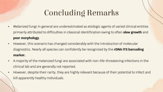 Concluding Remarks
• Melanized fungi in general are underestimated as etiologic agents of varied clinical entities
primarily attributed to difficulties in classical identification owing to often slow growth and
poor morphology.
• However, this scenario has changed considerably with the introduction of molecular
diagnostics. Nearly all species can confidently be recognized by the rDNA ITS barcoding
marker.
• A majority of the melanized fungi are associated with non-life-threatening infections in the
clinical lab and are generally not reported.
• However, despite their rarity, they are highly relevant because of their potential to infect and
kill apparently healthy individuals.
 