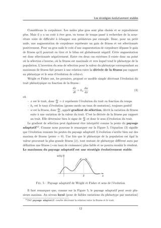 Les strat´egies ´evolutivement stables 
Consid´erons la corpulence. Les mˆales plus gros sont plus choisis et se reproduisent 
plus. Mais il y a un coˆut `a ˆetre gros, en terme de temps pass´e `a rechercher de la nour-riture 
voire de difficult´e `a ´echapper aux pr´edateurs par exemple. Donc, pour un petit 
mˆale, une augmentation de corpulence repr´esente un gain de fitness et est s´electionn´ee 
positivement. Pour un gros mˆale le coˆut d’une augmentation de corpulence d´epasse le gain 
de fitness qu’il pourrait en tirer et le bilan est globalement n´egatif. Cette augmentation 
est donc s´electionn´ee n´egativement. Entre ces deux cas extrˆemes il existe donc un point 
o`u la s´election s’inverse, o`u la fitness est maximale et vers lequel tend le ph´enotype de la 
population. L’inversion du sens de s´election pour la valeur du ph´enotype correspondant au 
maximum de fitness fait penser `a une relation entre la d´eriv´ee de la fitness par rapport 
au ph´enotype et le sens d’´evolution de celui-ci. 
Wright et Fisher ont, les premiers, propos´e ce mod`ele simple d´ecrivant l’´evolution du 
trait ph´enotypique en fonction de la fitness : 
dx 
dt 
= kx. 
dw 
dx 
(3) 
o`u 
– x est le trait, donc dx 
dt = x˙ repr´esente l’´evolution du trait en fonction du temps 
– kx est le taux d’´evolution (grosso modo un taux de mutation), toujours positif 
– w est la fitness, donc dw 
dx , appel´e gradient de s´election, d´ecrit la variation de fitness 
suite `a une variation de la valeur du trait. C’est la d´eriv´ee de la fitness par rapport 
au trait. Elle d´etermine bien le signe de dx 
dt et donc le sens d’´evolution du trait. 
Le gradient de s´election peut ´egalement ˆetre interpr´et´e comme la pente du paysage 
adaptatif12. Comme nous pouvons le remarquer sur la Figure 5, l’´equation (3) signifie 
que l’´evolution remonte les pentes du paysage adaptatif. L’´evolution s’arrˆete bien sur des 
maxima de fitness (pente = 0). Une fois que le ph´enotype de la population est ´egal la 
valeur procurant la plus grande fitness (¯x), tout mutant de ph´enotype diff´erent aura par 
d´efinition une fitness (=un taux de croissance) plus faible et ne pourra envahir le r´esident. 
Le maximum du paysage adaptatif est une strat´egie ´evolutivement stable. 
x 
w(x) 
_ 
x 
Fig. 5 – Paysage adaptatif de Wright et Fisher et sens de l’´evolution 
Il faut remarquer que, comme sur la Figure 5, le paysage adaptatif peut avoir plu-sieurs 
maxima. Au niveau local (pour de faibles variations du ph´enotype par mutation) 
12Def. paysage adaptatif: courbe d´ecrivant la relation entre la fitness et le trait. 
12 
 