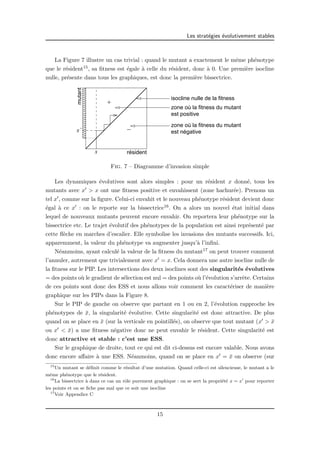 Les strat´egies ´evolutivement stables 
La Figure 7 illustre un cas trivial : quand le mutant a exactement le mˆeme ph´enotype 
que le r´esident15, sa fitness est ´egale `a celle du r´esident, donc `a 0. Une premi`ere isocline 
nulle, pr´esente dans tous les graphiques, est donc la premi`ere bissectrice. 
              
              
+ 
x’ − 
x 
mutant 
résident 
isocline nulle de la fitness 
zone où la fitness du mutant 
est positive 
zone où la fitness du mutant 
est négative 
Fig. 7 – Diagramme d’invasion simple 
Les dynamiques ´evolutives sont alors simples : pour un r´esident x donn´e, tous les 
mutants avec x0  x ont une fitness positive et envahissent (zone hachur´ee). Prenons un 
tel x0, comme sur la figure. Celui-ci envahit et le nouveau ph´enotype r´esident devient donc 
´egal `a ce x0 : on le reporte sur la bissectrice16. On a alors un nouvel ´etat initial dans 
lequel de nouveaux mutants peuvent encore envahir. On reportera leur ph´enotype sur la 
bissectrice etc. Le trajet ´evolutif des ph´enotypes de la population est ainsi repr´esent´e par 
cette fl`eche en marches d’escalier. Elle symbolise les invasions des mutants successifs. Ici, 
apparemment, la valeur du ph´enotype va augmenter jusqu’`a l’infini. 
N´eanmoins, ayant calcul´e la valeur de la fitness du mutant17 on peut trouver comment 
l’annuler, autrement que trivialement avec x0 = x. Cela donnera une autre isocline nulle de 
la fitness sur le PIP. Les intersections des deux isoclines sont des singularit´es ´evolutives 
= des points o`u le gradient de s´election est nul = des points o`u l’´evolution s’arrˆete. Certains 
de ces points sont donc des ESS et nous allons voir comment les caract´eriser de mani`ere 
graphique sur les PIPs dans la Figure 8. 
Sur le PIP de gauche on observe que partant en 1 ou en 2, l’´evolution rapproche les 
ph´enotypes de ¯x, la singularit´e ´evolutive. Cette singularit´e est donc attractive. De plus 
quand on se place en ¯x (sur la verticale en pointill´es), on observe que tout mutant (x0  ¯x 
ou x0  ¯x) a une fitness n´egative donc ne peut envahir le r´esident. Cette singularit´e est 
donc attractive et stable : c’est une ESS. 
Sur le graphique de droite, tout ce qui est dit ci-dessus est encore valable. Nous avons 
donc encore affaire `a une ESS. N´eanmoins, quand on se place en x0 = ¯x on observe (sur 
15Un mutant se d´efinit comme le r´esultat d’une mutation. Quand celle-ci est silencieuse, le mutant a le 
mˆeme ph´enotype que le r´esident. 
16La bissectrice `a dans ce cas un rˆole purement graphique : on se sert la propri´et´e x = x0 pour reporter 
les points et on se fiche pas mal que ce soit une isocline 
17Voir Appendice C 
15 
 