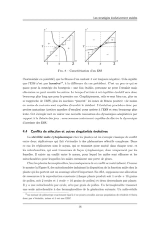 Les strat´egies ´evolutivement stables 
_ 
x 
x’ x’ 
_ 
x 
_ 
x 
_ 
x 
+ 
− 
− 
+ 
x 
1 2 1 2 
x 
+ 
+ 
− 
− 
Fig. 8 – Caract´erisation d’un ESS 
l’horizontale en pointill´e) que la fitness d’un mutant ¯x est toujours n´egative. Cela signifie 
que l’ESS n’est pas invasive18, `a la diff´erence du cas pr´ec´edent. C’est un peu ce qui se 
passe pour la strat´egie du bourgeois : une fois ´etablie, personne ne peut l’envahir mais 
elle-mˆeme ne peut envahir les autres. Le temps d’arriv´ee `a cet ´equilibre ´evolutif sera donc 
beaucoup plus long que pour le premier cas. Graphiquement, cela se sent bien car, plus on 
se rapproche de l’ESS, plus les isoclines “pincent” les zones de fitness positive : de moins 
en moins de mutants sont capables d’envahir le r´esident. L’´evolution proc´edera donc par 
petites mutations (petites marches d’escalier) pour arriver `a l’ESS et sera beaucoup plus 
lente. Cet exemple met en valeur une nouvelle innovation des dynamiques adaptatives par 
rapport `a la th´eorie des jeux : nous sommes maintenant capables de d´ecrire la dynamique 
d’atteinte des ESS. 
4.4 Conflits de s´election et autres singularit´es ´evolutives 
La st´erilit´e mˆale cytoplasmique chez les plantes est un exemple classique de conflit 
entre deux r´eplicateurs qui fait s’attendre `a des ph´enom`enes s´electifs complexes. Dans 
ce cas les r´eplicateurs sont le noyau, qui se transmet pour moiti´e dans chaque sexe, et 
les mitochondries, qui sont transmises de fa¸con cytoplasmique, donc uniquement par les 
femelles. Il existe un conflit entre le noyau, pour lequel les mˆales sont efficaces et les 
mitochondries pour lesquelles les mˆales entraˆınent une perte de g`enes. 
Chez les plantes hermaphrodites, les cons´equences de ce conflit se mat´erialisent. Comme 
le montre la Figure 9, des mitochondries induisant la disparition de la fonction mˆale chez la 
plante qui les portent ont un avantage s´electif important. En effet, supposons une allocation 
de ressources `a la reproduction constante (chaque plante produit soit 1 ovule + 10 grains 
de pollen, soit 2 ovules et 1 ovule = 10 grains de pollen) et deux descendants par plante. 
Il y a une mitochondrie par ovule, z´ero par grain de pollen. Un hermaphrodite transmet 
une seule mitochondrie `a des hermaphrodites de la g´en´eration suivante. Un mˆale-st´erile 
18un mutant de ph´enotype exactement ´egal `a ¯x ne pourra envahir aucune population de r´esident et finira 
donc par s’´eteindre, mˆeme si ¯x est une ESS ! 
16 
 