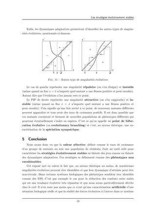 Les strat´egies ´evolutivement stables 
Enfin, les dynamiques adaptatives permettent d’identifier les autres types de singula-rit 
´es ´evolutives, mentionn´es ci-dessous. 
x’ x’ 
− − 
_ 
x 
x x 
_ 
x 
+ 
+ 
− 
+ 
− 
+ 
1 2 1 2 
Fig. 11 – Autres type de singularit´es ´evolutives 
Le cas de gauche repr´esente une singularit´e r´epulsive (on s’en ´eloigne) et instable 
(mˆeme quand on fixe x = ¯x n’importe quel mutant a une fitness positive et peut envahir). 
Autant dire que l’´evolution n’ira jamais vers ce point. 
Le PIP de droite repr´esente une singularit´e attractive (on s’en rapproche) et in-stable 
(mˆeme quand on fixe x = ¯x n’importe quel mutant a une fitness positive et 
peut envahir). Cela signifie qu’une fois arriv´e `a ce point, de nouveaux mutants diff´erents 
peuvent apparaˆıtre et tous avoir des taux de croissance positifs. Il est donc possible que 
ces mutants coexistent et forment de nouvelles populations de ph´enotypes diff´erents qui 
pourront ´eventuellement s’isoler en esp`eces. C’est ce qu’on appelle un point de bifur-cation 
´evolutive (ou evolutionary branching) et c’est, au niveau th´eorique, une ca-ract 
´erisation de la sp´eciation sympatrique. 
5 Conclusion 
Nous avons donc vu que la valeur s´elective, d´efinie comme le taux de croissance 
d’un groupe de mutants au sein une population de r´esidents, ´etait un outil utile pour 
caract´eriser les strat´egies ´evolutivement stables en th´eorie des jeux comme en th´eorie 
des dynamiques adaptatives. Ces strat´egies se d´efinissent comme des ph´enotypes non 
envahissables. 
Cet expos´e met en valeur le fait que, au niveau th´eorique au moins, de nombreuses 
singularit´es ´evolutives peuvent ˆetre identifi´ees et que leur dynamique d’atteinte peut ˆetre 
non-triviale. Dans certains syst`emes biologiques des ph´enotypes semblent ˆetre identifi´es 
comme des ESS. C’est par exemple le cas pour la r´eduction des combats entre mˆales 
qui est une tendance ´evolutive tr`es r´epandue et que nous avons particuli`erement d´ecrite 
chez le cerf. Il n’en reste pas moins que ce n’est qu’une caract´erisation artificielle d’une 
situation biologique r´eelle et que la r´ealit´e des forces ´evolutives `a l’oeuvre dans ce syst`eme 
18 
 