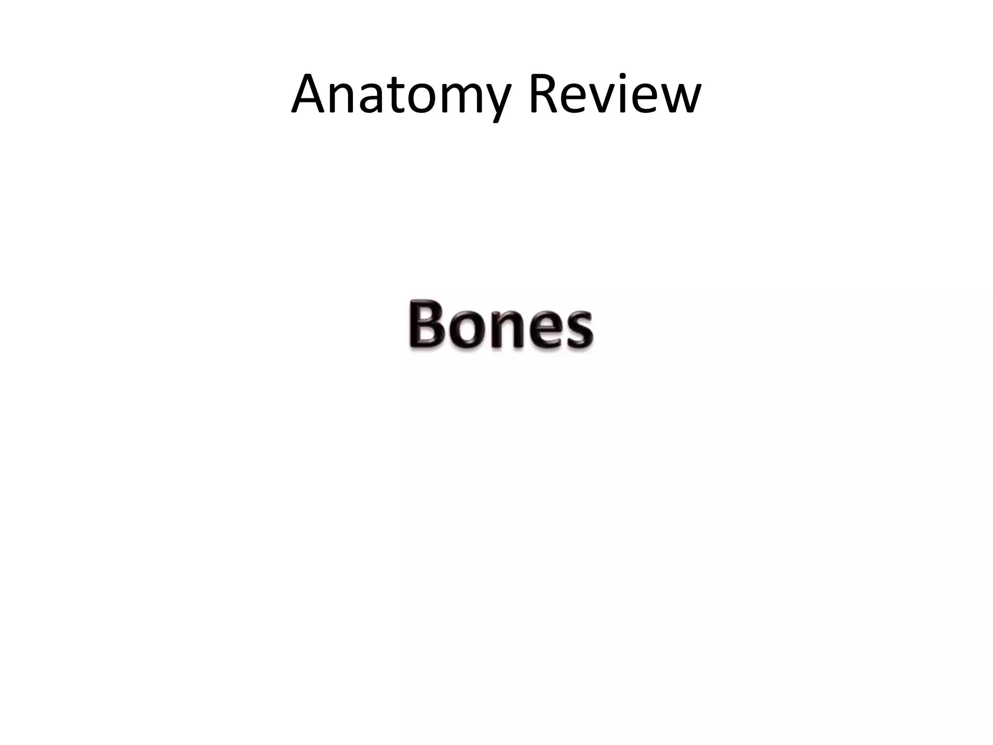 Anatomy Review
 