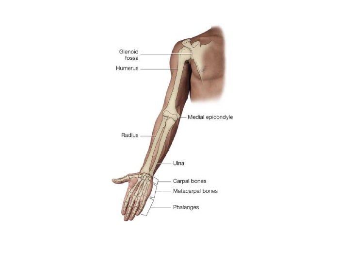 humerus fracture icd 10 humerus fracture icd 10