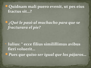 Quidnam mali puero evenit, ut pes eius
fractus sit…?
¿Qué le pasó al muchacho para que se
fracturara el pie?
• Iulius: “ ecce filius similillimus avibus
fieri voluerit…
Pues que quiso ser igual que los pájaros…
 