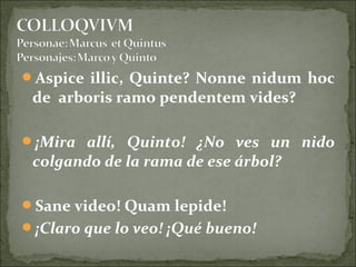 Aspice illic, Quinte? Nonne nidum hoc
de arboris ramo pendentem vides?
¡Mira allí, Quinto! ¿No ves un nido
colgando de la rama de ese árbol?
Sane video! Quam lepide!
¡Claro que lo veo! ¡Qué bueno!
 