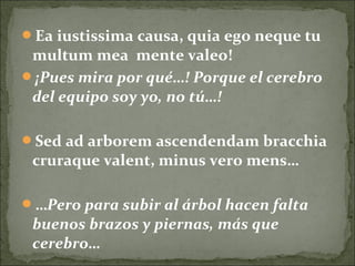 Ea iustissima causa, quia ego neque tu
multum mea mente valeo!
¡Pues mira por qué…! Porque el cerebro
del equipo soy yo, no tú…!
Sed ad arborem ascendendam bracchia
cruraque valent, minus vero mens…
…Pero para subir al árbol hacen falta
buenos brazos y piernas, más que
cerebro…
 
