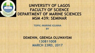 UNIVERSITY OF LAGOS
FACULTY OF SCIENCE
DEPARTMENT OF MARINE SCIENCES
MSM 439: SEMINAR
TOPIC: MARINE IGUANA
BY
DEMEHIN, GBENGA OLUWAYEMI
130811008
MARCH 23RD, 2017
1
 