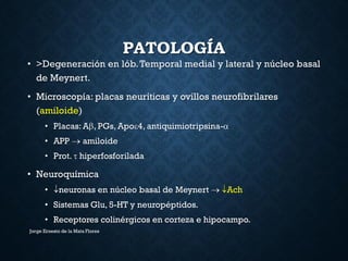 PATOLOGÍA
• >Degeneración en lób.Temporal medial y lateral y núcleo basal
de Meynert.
• Microscopía: placas neuríticas y ovillos neurofibrilares
(amiloide)
• Placas: A, PGs, Apo4, antiquimiotripsina-
• APP  amiloide
• Prot.  hiperfosforilada
• Neuroquímica
• neuronas en núcleo basal de Meynert  Ach
• Sistemas Glu, 5-HT y neuropéptidos.
• Receptores colinérgicos en corteza e hipocampo.
Jorge Ernesto de la Mata Flores
 