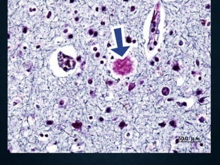 Jorge Ernesto de la Mata Flores
 