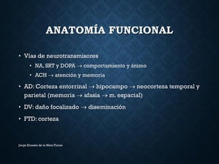 ANATOMÍA FUNCIONAL
• Vías de neurotransmisores
• NA, SRT y DOPA  comportamiento y ánimo
• ACH  atención y memoria
• AD: Corteza entorrinal  hipocampo  neocorteza temporal y
parietal (memoria  afasia  m. espacial)
• DV: daño focalizado  diseminación
• FTD: corteza
Jorge Ernesto de la Mata Flores
 