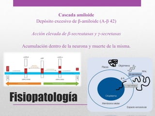 Fisiopatología
Cascada amiloide
Depósito excesivo de β-amiloide (A-β 42)
Acción elevada de β-secreatasas y γ-secretasas
Acumulación dentro de la neurona y muerte de la misma.
 
