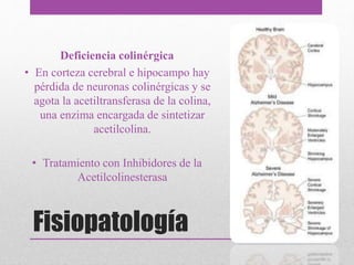 Fisiopatología
Deficiencia colinérgica
• En corteza cerebral e hipocampo hay
pérdida de neuronas colinérgicas y se
agota la acetiltransferasa de la colina,
una enzima encargada de sintetizar
acetilcolina.
• Tratamiento con Inhibidores de la
Acetilcolinesterasa
 