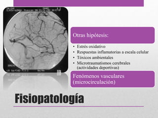 Fisiopatología
Otras hipótesis:
• Estrés oxidativo
• Respuestas inflamatorias a escala celular
• Tóxicos ambientales
• Microtraumatismos cerebrales
(actividades deportivas)
Fenómenos vasculares
(microcirculación)
 