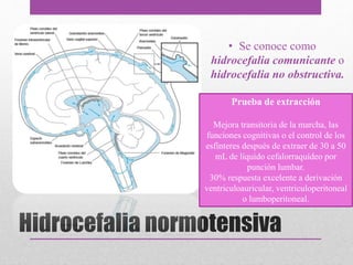 Hidrocefalia normotensiva
• Se conoce como
hidrocefalia comunicante o
hidrocefalia no obstructiva.
• Resultado de la absorción
deficiente de líquido
cefalorraquídeo.
Prueba de extracción
Mejora transitoria de la marcha, las
funciones cognitivas o el control de los
esfínteres después de extraer de 30 a 50
mL de líquido cefalorraquídeo por
punción lumbar.
30% respuesta excelente a derivación
ventriculoauricular, ventriculoperitoneal
o lumboperitoneal.
 