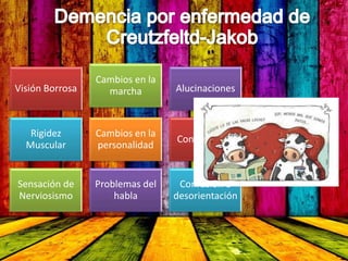 Visión Borrosa
Cambios en la
marcha Alucinaciones
Rigidez
Muscular
Cambios en la
personalidad
Convulsiones
Sensación de
Nerviosismo
Problemas del
habla
Confusión o
desorientación
 