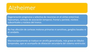 Alzheimer
Degeneración progresiva y selectiva de neuronas en el córtex entorrinal,
hipocampo, cortezas de asociación temporal, frontal y parietal, núcleos
subcorticales y núcleos del tronco.
No hay afección de cortezas motoras primarias ni sensitivas, ganglios basales ni
el cerebelo.
Macroscópicamente se traduce en atrofia generalizada, más grave en lóbulos
temporales, que se acompaña de dilatación secundaria del sistema ventricular.
 