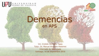 Demencias
en APS
Int. Cristián González Tapia
Tutor: Dr. Manuel Alvarado Pastenes
Internado de Neurología
Santiago, 16 de Septiembre 2016
 