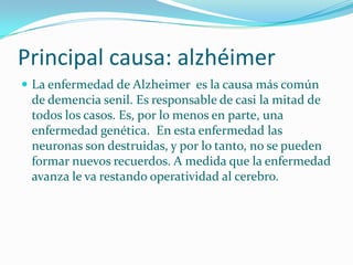 Principal causa: alzhéimer
 La enfermedad de Alzheimer es la causa más común
 de demencia senil. Es responsable de casi la mitad de
 todos los casos. Es, por lo menos en parte, una
 enfermedad genética. En esta enfermedad las
 neuronas son destruidas, y por lo tanto, no se pueden
 formar nuevos recuerdos. A medida que la enfermedad
 avanza le va restando operatividad al cerebro.
 