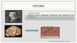 HISTORIA 
• Arnold Pick 1892 
• Examinó daños cerebrales postmorten de pacientes con 
demencia 
Cuerpos de Pick (Tau+) 
Wang, 2008. Neuropathology 26 (3): pp. 222–230 
 