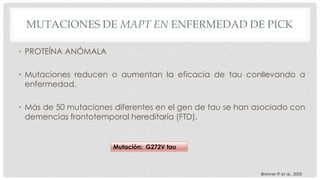 MUTACIONES DE MAPT EN ENFERMEDAD DE PICK 
• PROTEÍNA ANÓMALA 
• Mutaciones reducen o aumentan la eficacia de tau conllevando a 
enfermedad. 
• Más de 50 mutaciones diferentes en el gen de tau se han asociado con 
demencias frontotemporal hereditaria (FTD). 
Mutación: G272V tau 
Bronner IF et al., 2005 
 