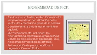 ENFERMEDAD DE PICK 
• Atrofia circunscrita del cerebro, lóbulo frontal, 
temporal o parietal, con dilatación de los 
ventrículos y afectación grave de la corteza 
• Generalmente se afecta mas el hemisferio 
izquierdo 
• Microscópicamente: inclusiones Tau 
hiperfosforilada argirófilas (cuerpos de Pick) 
Células de pick (neuronas alargadas). En el 
hipocampo hay pérdida de astroglia. 
• Sin la aparición de placas neuríticas ni 
degeneración neurofibrilar. 
 