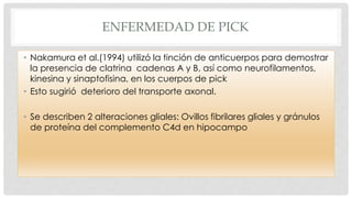 ENFERMEDAD DE PICK 
• Nakamura et al.(1994) utilizó la tinción de anticuerpos para demostrar 
la presencia de clatrina cadenas A y B, así como neurofilamentos, 
kinesina y sinaptofisina, en los cuerpos de pick 
• Esto sugirió deterioro del transporte axonal. 
• Se describen 2 alteraciones gliales: Ovillos fibrilares gliales y gránulos 
de proteína del complemento C4d en hipocampo 
 