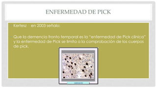 ENFERMEDAD DE PICK 
• Kertesz en 2003 señalo: 
• Que la demencia fronto temporal es la “enfermedad de Pick clínica” 
y la enfermedad de Pick se limita a la comprobación de los cuerpos 
de pick. 
 