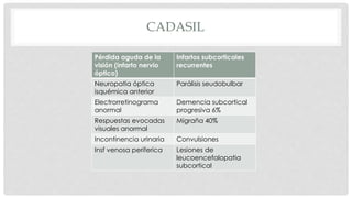 CADASIL 
Pérdida aguda de la 
visión (infarto nervio 
óptico) 
Infartos subcorticales 
recurrentes 
Neuropatia óptica 
isquémica anterior 
Parálisis seudobulbar 
Electrorretinograma 
anormal 
Demencia subcortical 
progresiva 6% 
Respuestas evocadas 
visuales anormal 
Migraña 40% 
Incontinencia urinaria Convulsiones 
Insf venosa periferica Lesiones de 
leucoencefalopatia 
subcortical 
 